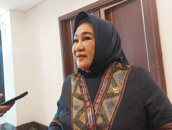 Cagub Sultra Tina Nur Alam Daftar Ke Demokrat